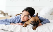 Dormir com cachorro ou gato faz mal? Médica explica os riscos que muita gente desconhece