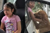 'Pai, abre a porta?': Menina chora por cadela de rua e vídeo tem final feliz