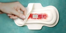 Absorvente inteligente faz exames de saúde instantâneos a partir do sangue menstrual; conheça