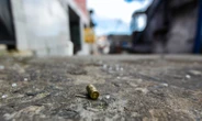 Abril liderou em tiroteios durante ações policiais em Salvador e Região Metropolitana