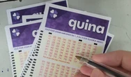 Resultado da Quina 7069 hoje, 19/07: veja os números sorteados