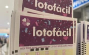 Bolão acerta as 15 dezenas da Lotofácil e fatura mais de R$ 14,2 milhões; confira o resultado