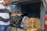 Blogueiro é preso em flagrante com drogas que seriam vendidos no São João da Bahia