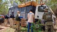 Quase mil animais silvestres são resgatados na Chapada Diamantina