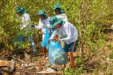 Mutirões retiram 3,5 toneladas de lixo e recuperam manguezais
