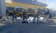 Motorista é preso com 781 quilos de maconha após perseguição em estrada da Bahia