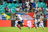 Bahia x Botafogo: onde assistir ao vivo, escalações e arbitragem