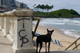 Saiba quais as facções que dominam os cartões postais de Salvador