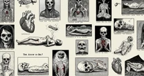 Conheça as 7 piores formas de morrer, segundo a psicologia