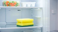 Veja 5 formas inusitadas de reutilizar esponjas de cozinha usadas