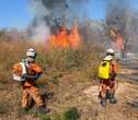 Bombeiros já registraram 422 incêndios florestais na Bahia em 2024