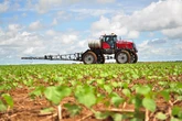 Frutas e tilápias são as maiores preocupações do agro baiano, diz presidente da Faeb