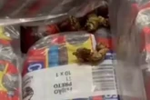 Larvas na comida, baratas e fezes entre produtos: funcionários denunciam supermercado