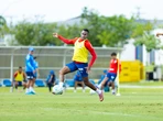Bahia recebe o Botafogo para chegar à Copa do Mundo com fim do jejum de triunfos