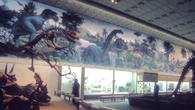 Fósseis de 230 milhões de anos colocam o Brasil no centro da origem dos dinossauros
