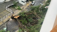 Chuva forte derruba árvore e deixa bairro nobre sem energia em Salvador