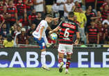 Bahia x Flamengo: veja as escalações e onde assistir o duelo decisivo