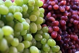 Supermercado é investigado por vender uvas com agrotóxico que não é permitido