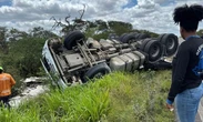 Carreta tomba após motorista ser atacado por abelhas na Bahia