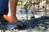 Projetos promovem conservação ambiental e preservação cultural das comunidades da Baía de Todos-os-Santos