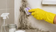 Mofo na parede? Mistura caseira sem cloro ou água sanitária ajuda a eliminar as manchas