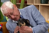 Idoso de 80 anos chora por não conseguir mais cuidar de cachorro e comove ao buscar novo lar para ele: 'Me perdoe'