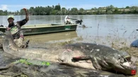 Pescador captura bagre gigante de quase 3 metros e bate recorde mundial