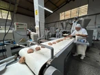 Obras Sociais Irmã Dulce abrem 65 vagas temporárias para produção de panetones