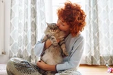 5 cuidados para quem tem ou pretende adotar um gato