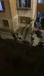 Violência policial: MP apura 137 ocorrências flagradas por câmeras em fardas