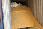 Carga com mais de 200 quilos de cocaína destinada à França e à Alemanha é interceptada no Porto de Salvador