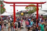 Festival da Cultura Japonesa de Salvador inicia venda de ingressos