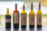 Vinícolas do Sertão lançam novos rótulos em feira internacional