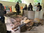 Polícia resgata 150 aves e prende sete homens em Feira de Santana