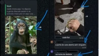 Adolescente negro é alvo de ataques racistas por dois meses em grupo de WhatsApp de condomínio; polícia investiga