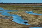 Bahia pode perder mais de R$ 13 bilhões com Super El Niño