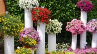 Transforme sua casa com uma torre de flores simples usando um cano velho