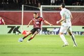 Vitória é a equipe com mais cartões recebidos no Campeonato Brasileiro