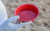 Casos de dengue e chikungunya crescem e reforçam alerta para prevenção