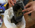 Mais de meia tonelada de maconha é apreendida em cidade do sul da Bahia