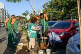Prefeitura de Salvador bate recorde e planta mais de 12 mil árvores em 2025