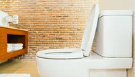 Aprenda truque que recomenda jogar sal no vaso sanitário