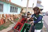 Casos prováveis de dengue aumentam 408% na Bahia