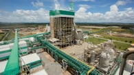 Veracel Celulose abre vagas para programa de estágio na Bahia