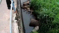 Corpo é encontrado enrolado em colchão em córrego na Boca do Rio