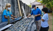 Projeto Mares inicia produção de sementeiras para cultivo de corais nativos na BTS