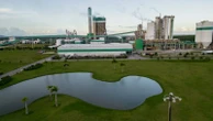 Empresa de celulose abre vagas de emprego no sul da Bahia; saiba como se candidatar