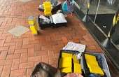 Três mulheres são presas com 30kg de cocaína escondidos em ônibus na Bahia
