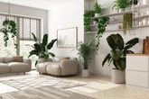 Arquiteta explica como aplicar a biofilia na decoração de casa