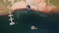 Após ataques de piranhas, prefeitura de cidade baiana anuncia medidas de proteção